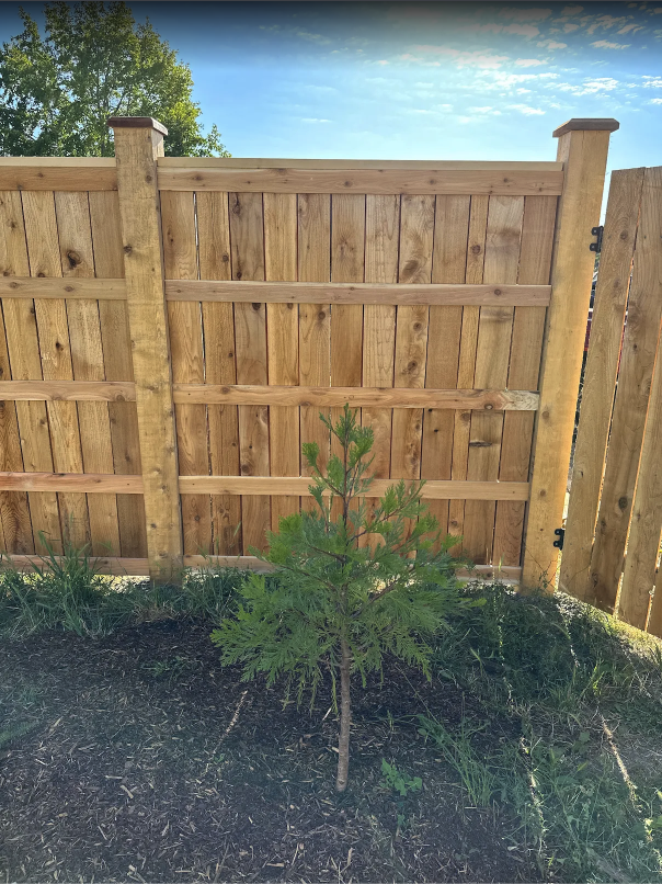 CUSTOM CEDAR FENCE, DOUBLE-WIDE GATES & NATIVE TREES  — photo 3