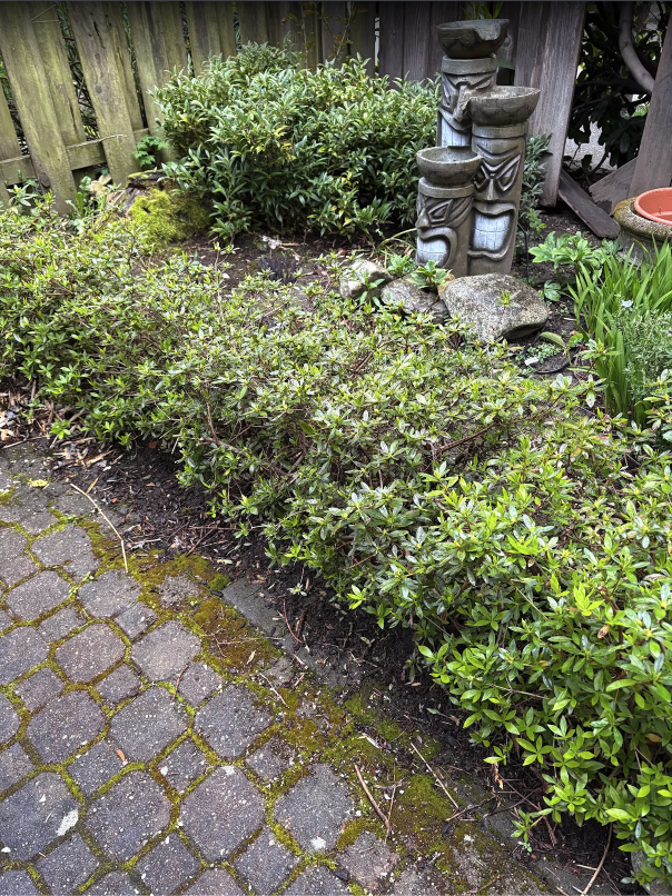 Fence rebuild, gate repair & new patio deck — photo 3
