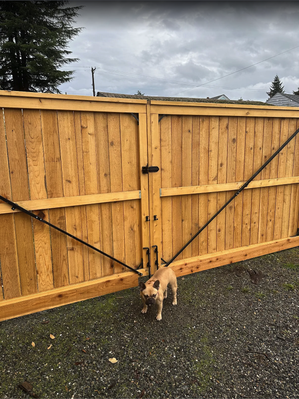 CUSTOM CEDAR FENCE, DOUBLE-WIDE GATES & NATIVE TREES  — photo 1