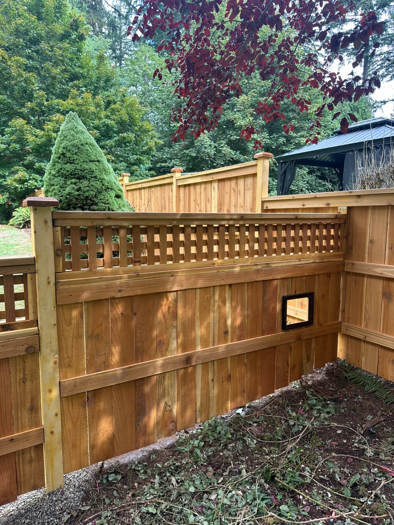 Cedar privacy fence with square lattice topper and a small acrylic pet window built into the lower panel