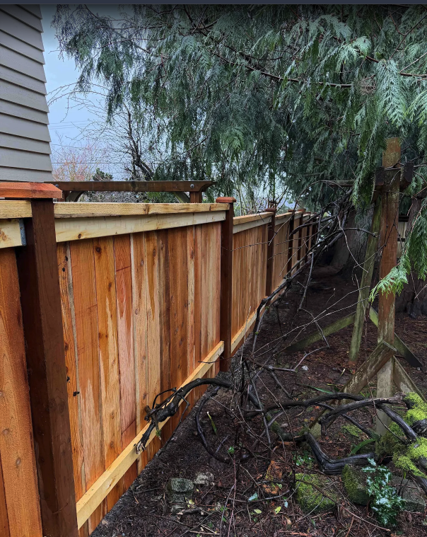 Wind-damaged fence replacement — photo 1